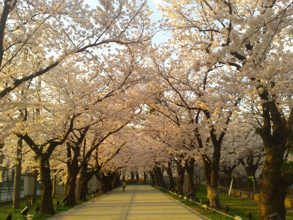 高田公園