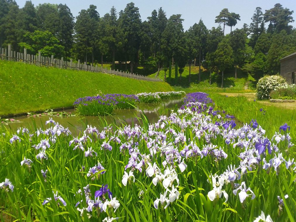 春日山城跡広場