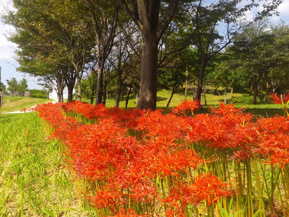 直江津港港公園